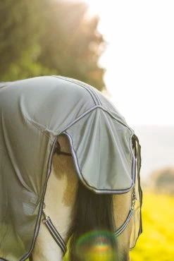 Horze La Pampa Fliegenschutz Set -Pferdebedarf Discounter 24817 g 16