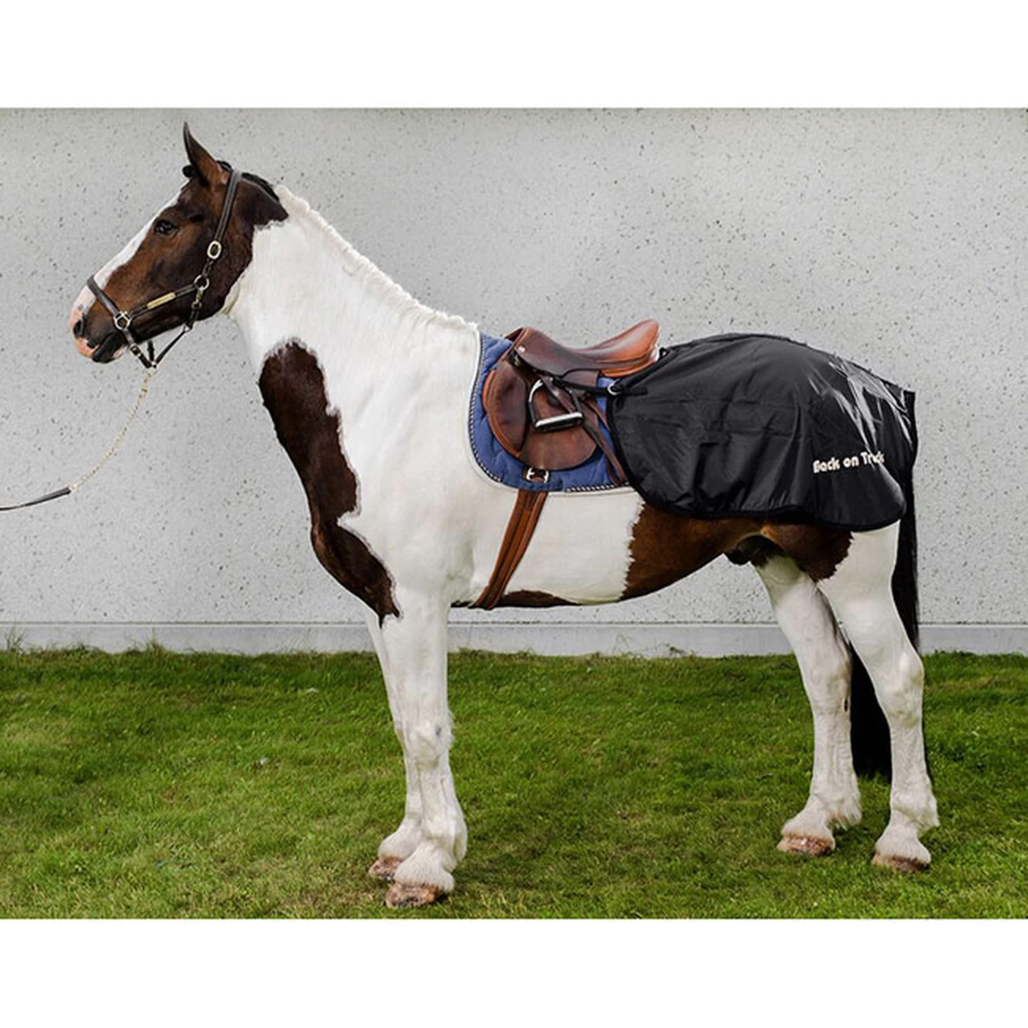 Back On Track Nierendecke 1 Back On Track Nierendecke