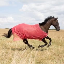 Horze Orleans Fliegendecke -Pferdebedarf Discounter 24835 SCPI 1
