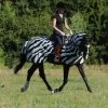 Bucas Buzz-Off Riding Zebra Fliegenausreitdecke