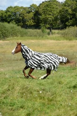 Bestseller 4 Bucas Buzz Off Zebra Fliegendecke Mit Halsteil