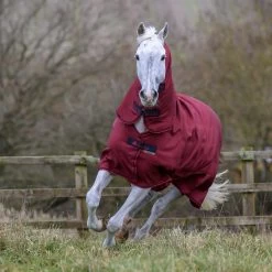 Bucas Freedom Turnout Full Neck Regendecke Mit Festem Halsteil, 0g -Pferdebedarf Discounter 300453 CRE 2