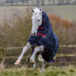 Bucas Freedom Turnout Full Neck Regendecke Mit Festem Halsteil, 0g -Pferdebedarf Discounter 300453 GDG 2