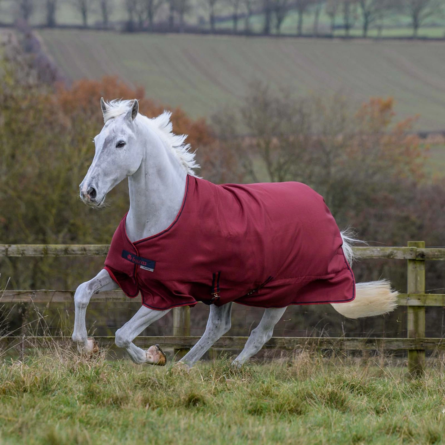 Bucas Freedom Turnout Light Pony Regdendecke, 0g 5 Bucas Freedom Turnout Light Pony Regdendecke, 0g – Bild 5