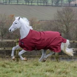 Bucas Freedom Turnout Light Pony Regdendecke, 0g 14 Bucas Freedom Turnout Light Pony Regdendecke, 0g -Pferdebedarf Discounter 300456 CRE 2