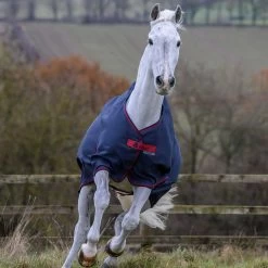 Bucas Freedom Turnout Light Pony Regdendecke, 0g 16 Bucas Freedom Turnout Light Pony Regdendecke, 0g -Pferdebedarf Discounter 300456 GDG 2