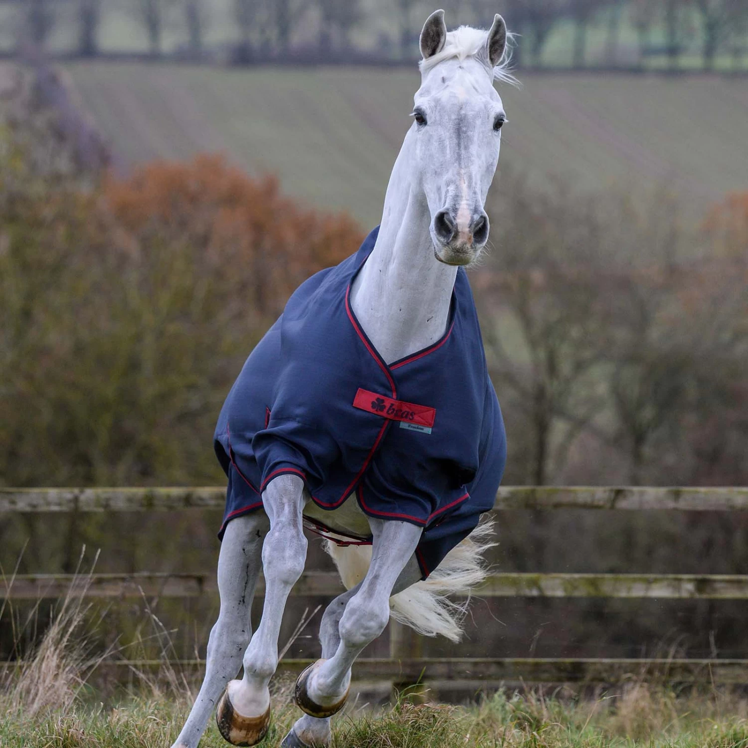 Bucas Freedom Turnout Light Pony Regdendecke, 0g 8 Bucas Freedom Turnout Light Pony Regdendecke, 0g – Bild 8