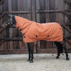 Kentucky Horsewear All Weather Halsteil 150g -Pferdebedarf Discounter 306135 ASOR 2
