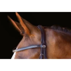 Schockemöhle Copenhagen Trense -Pferdebedarf Discounter 306265 DBR SI 2