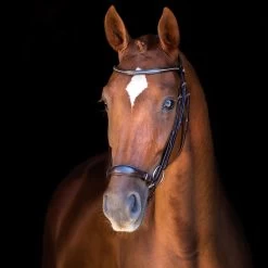 Schockemöhle Copenhagen Trense -Pferdebedarf Discounter 306265 DBR SI 3