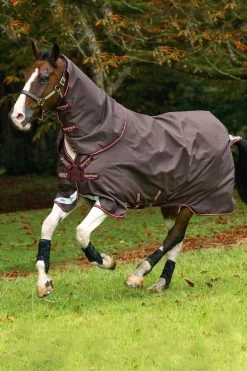 Horseware Amigo Halsteil, 0g -Pferdebedarf Discounter 307509 BR RE GO 2