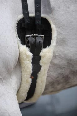 Kentucky Horsewear Lammfell Kurzgurt -Pferdebedarf Discounter 307787 BL 9