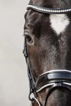 Schockemöhle Malibu Dressur-Trense Mit Kristalldetail -Pferdebedarf Discounter 313775 BL PTG 3