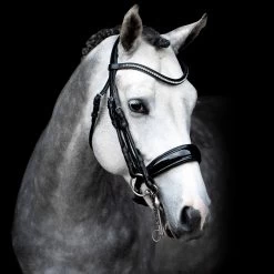 Schockmöhle Venice Anatomische Kandare Mit Kristallen -Pferdebedarf Discounter 313790 BL SI 3