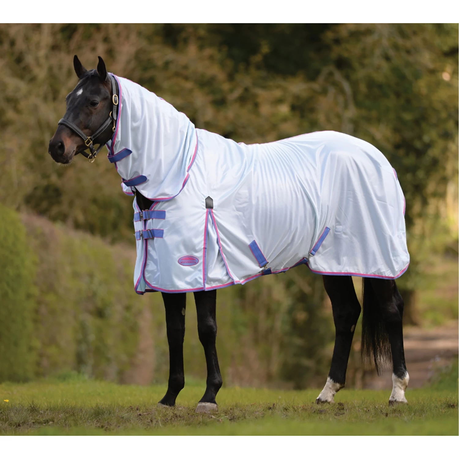 Weatherbeeta Comfitec Essential Mesh II Combo Fliegendecke Mit Festem Halsteil 2 Weatherbeeta Comfitec Essential Mesh II Combo Fliegendecke Mit Festem Halsteil – Bild 2