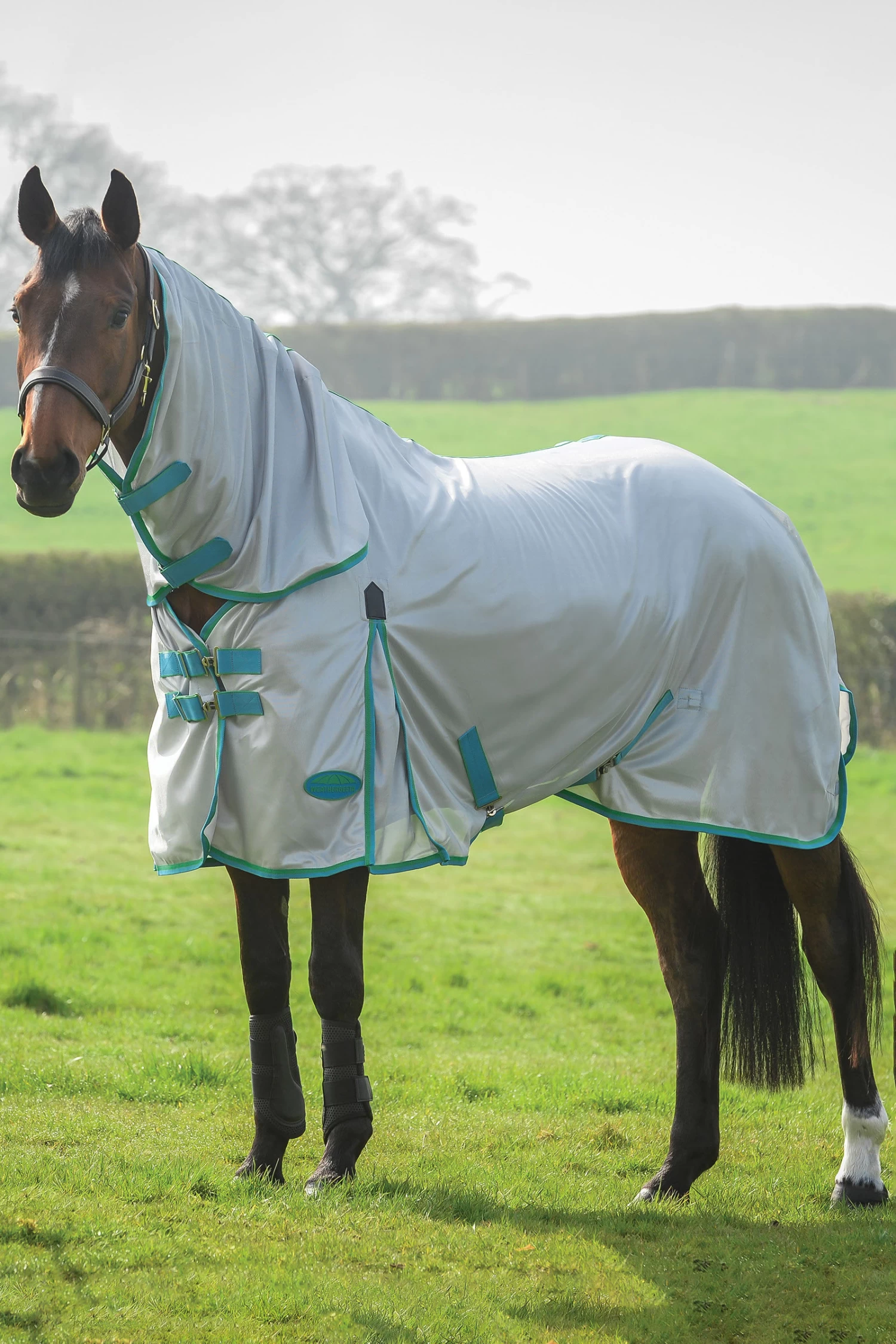 Weatherbeeta Comfitec Essential Mesh II Combo Fliegendecke Mit Festem Halsteil 1 Weatherbeeta Comfitec Essential Mesh II Combo Fliegendecke Mit Festem Halsteil