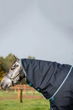 Horseware Amigo Bravo 12 Plus Winterdecke Mit Abnehmbarem Halsteil, 250g -Pferdebedarf Discounter 320370 DB AB 4