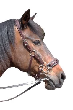 FRA Aram Hackamore (System 2) Leather, Jaw Straps, W/ Scissors -Pferdebedarf Discounter 322944 DBR 1