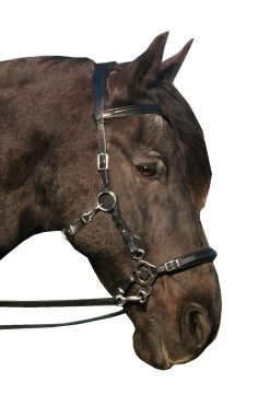 FRA Calli Hackamore (System 2) Mit Zügeln -Pferdebedarf Discounter 322945 BL 3