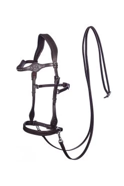 FRA Dandy Sidepull (System 3) Leather, W/ Leather Clip Reins -Pferdebedarf Discounter 322950 BR 1
