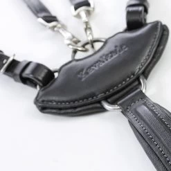 Kavalkade Vorderzeug Dekor, W 7 Kavalkade Vorderzeug Dekor, W -Pferdebedarf Discounter 325207 BL 3