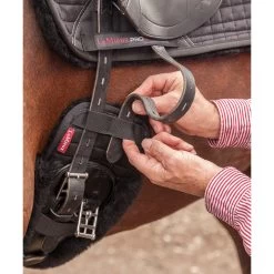 Lemieux Dressurgurt-Überzug -Pferdebedarf Discounter 326245 BL 2