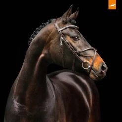 Schockemöhle Rio Select Trense 11 Schockemöhle Rio Select Trense -Pferdebedarf Discounter 326305 DBR SI 2