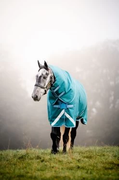 Horseware Amigo Bravo 12 Plus Regendecke Mit Abnehmbarem Halsteil, 100g -Pferdebedarf Discounter 326984 STGR 2