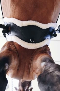Kentucky Horsewear Lederkurzgurt Sheepskin Dressage 11 Kentucky Horsewear Lederkurzgurt Sheepskin Dressage -Pferdebedarf Discounter 329961 BL 5