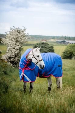 Horseware Amigo Bravo 12 Reflective Plus Winterdecke Mit Abnehmbarem Halsteil, 250g -Pferdebedarf Discounter 332730 B PI 5