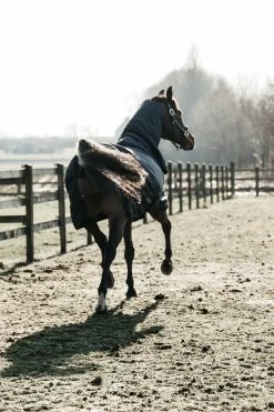 Kentucky Horsewear All Weather Waterproof Classic Regendecke, 50g -Pferdebedarf Discounter 332982 DB 3