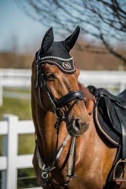 Back On Track Haze Kollektion Fliegenhauben -Pferdebedarf Discounter 333188 BL RPI 6