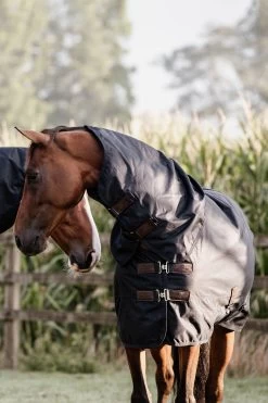 Kentucky Horsewear All Weather Waterproof Classic, Regendecke, 150g -Pferdebedarf Discounter 333287 DB 6