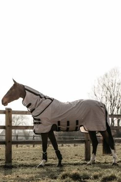 Kentucky Horsewear Mesh Fliegendecke -Pferdebedarf Discounter 334161 BE 2