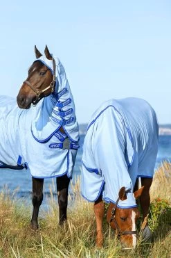 Horseware Amigo Hoody Exzemer Decke Mit Festem Halsteil -Pferdebedarf Discounter 334223 ABB SGB SI 3