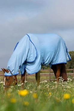 Horseware Amigo Hoody Exzemer Decke Mit Festem Halsteil -Pferdebedarf Discounter 334223 ABB SGB SI 4