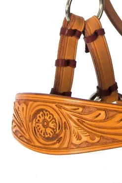 F.R.A. Diego Gebisslose Trense -Pferdebedarf Discounter 334265 NAT 9