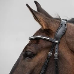 Schockemöhle Equitus Rho Genickstück -Pferdebedarf Discounter 335287 BL SI 3
