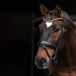 Schockemöhle Stanton Select Trense -Pferdebedarf Discounter 335292 PBL OR SI 2