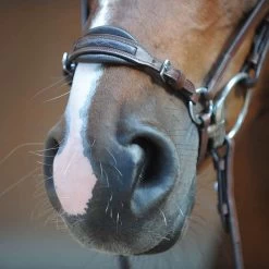 Kavalkade Levana Trense -Pferdebedarf Discounter 335722 BR 2