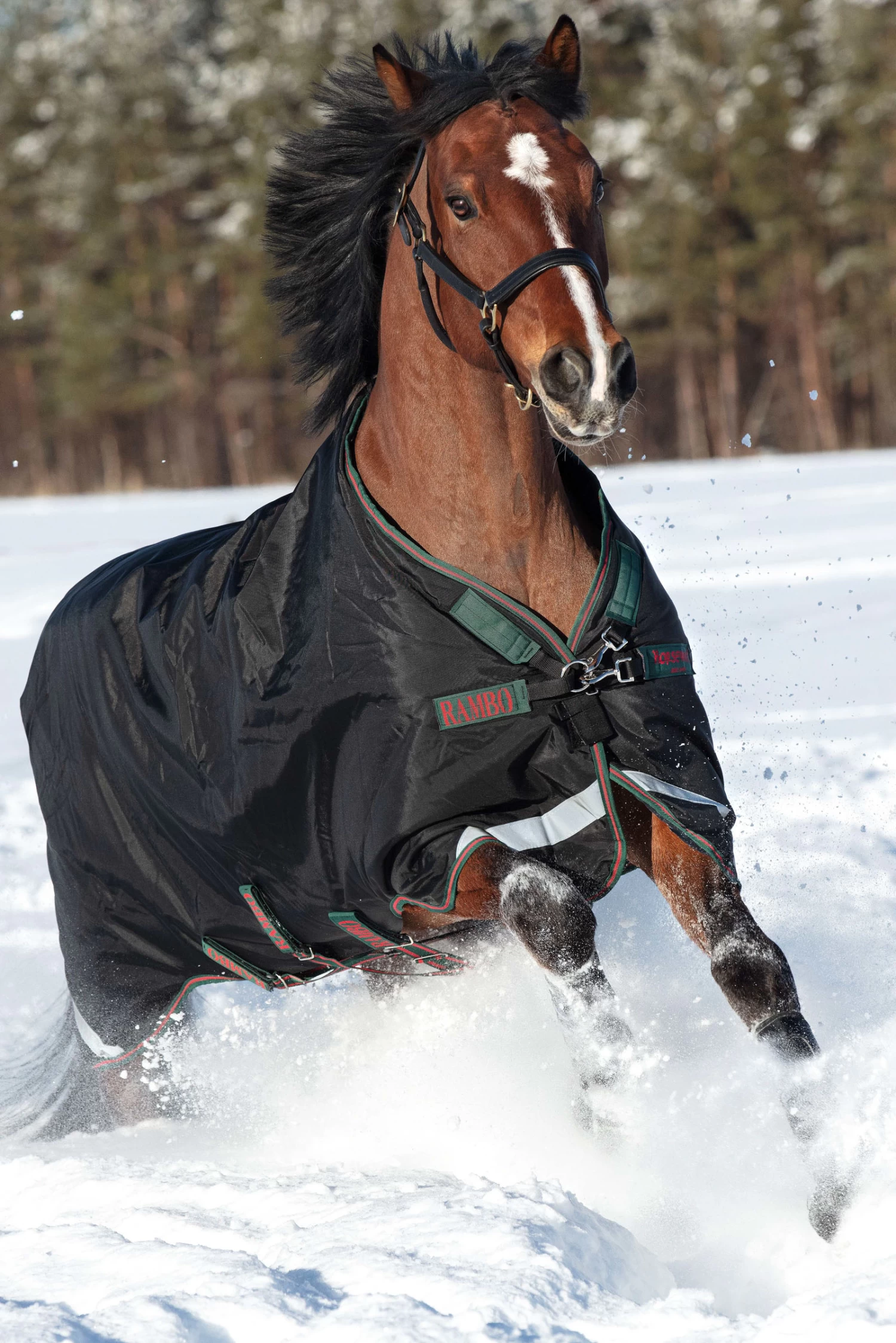 Horseware Rambo Original Weidedecke Mit Beinausschnitt, 200g 1 Horseware Rambo Original Weidedecke Mit Beinausschnitt, 200g