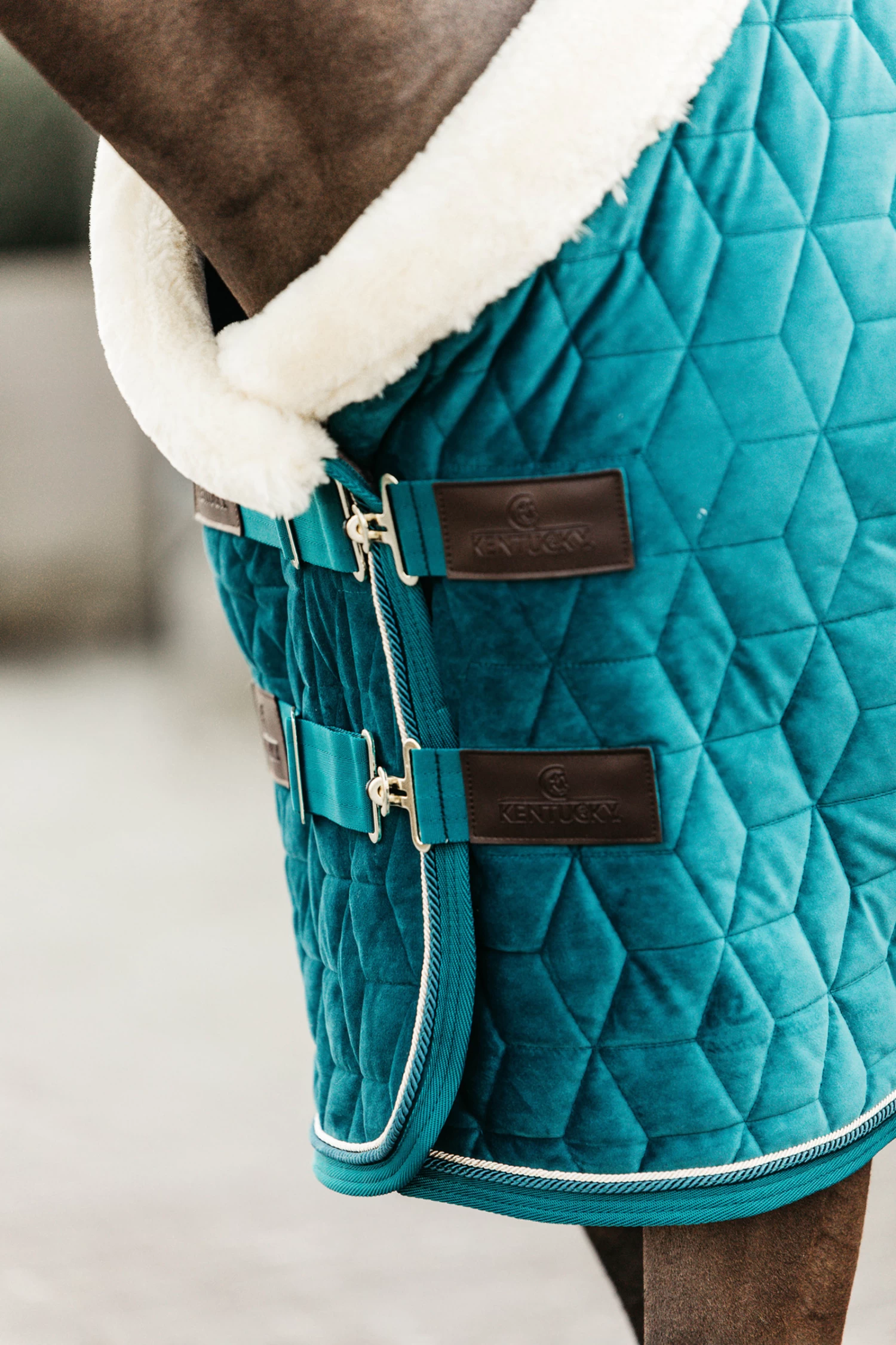 Kentucky Horsewear Velvet Pony Turnierdecke, 160g 3 Kentucky Horsewear Velvet Pony Turnierdecke, 160g – Bild 3