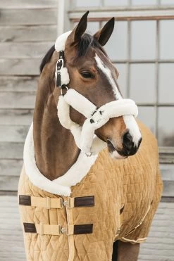 Kentucky Horsewear Velvet Pony Turnierdecke, 160g 25 Kentucky Horsewear Velvet Pony Turnierdecke, 160g -Pferdebedarf Discounter 336616 MGO 2