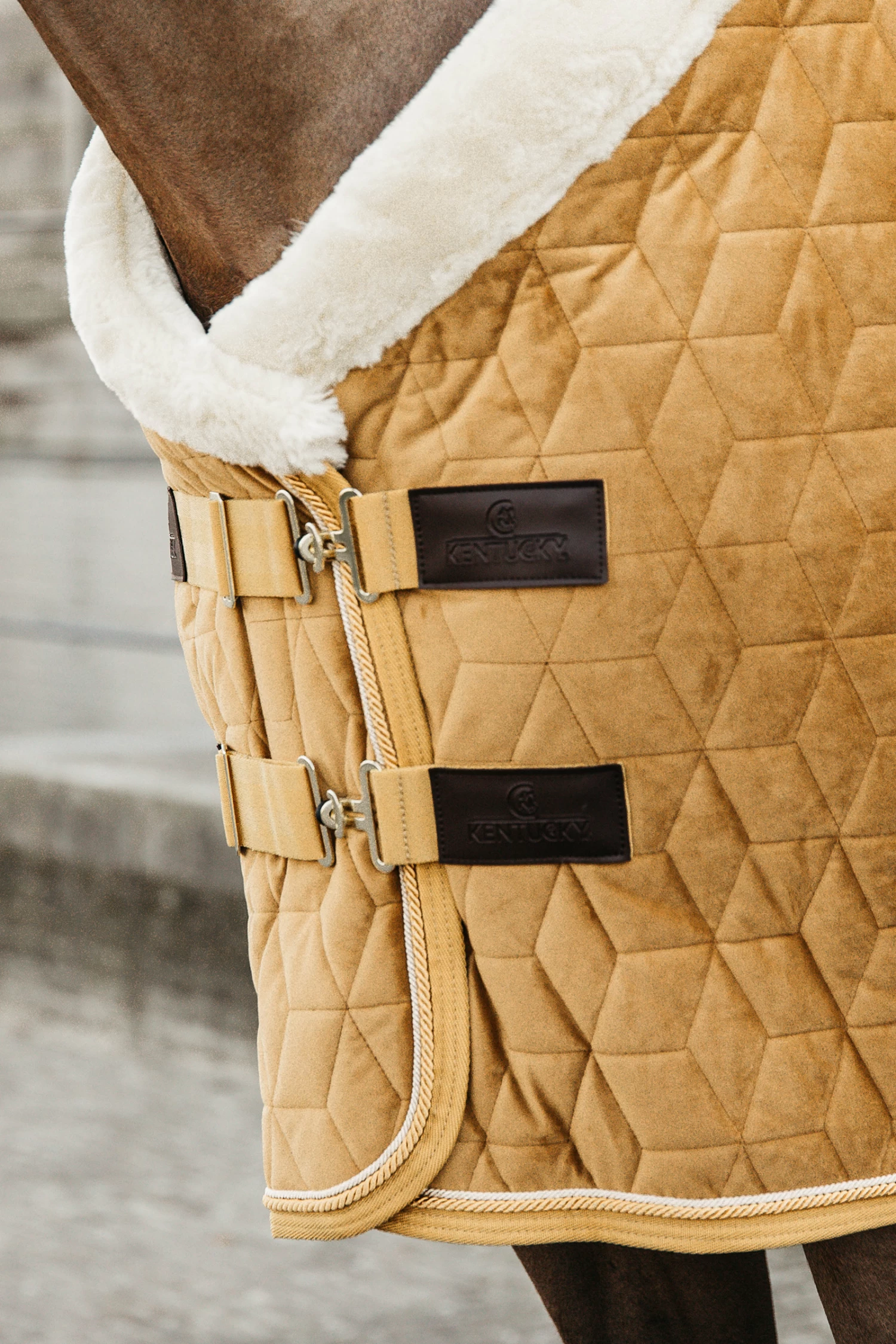 Kentucky Horsewear Velvet Pony Turnierdecke, 160g 7 Kentucky Horsewear Velvet Pony Turnierdecke, 160g – Bild 7