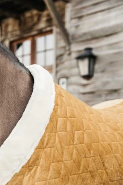 Kentucky Horsewear Velvet Pony Turnierdecke, 160g 27 Kentucky Horsewear Velvet Pony Turnierdecke, 160g -Pferdebedarf Discounter 336616 MGO 4