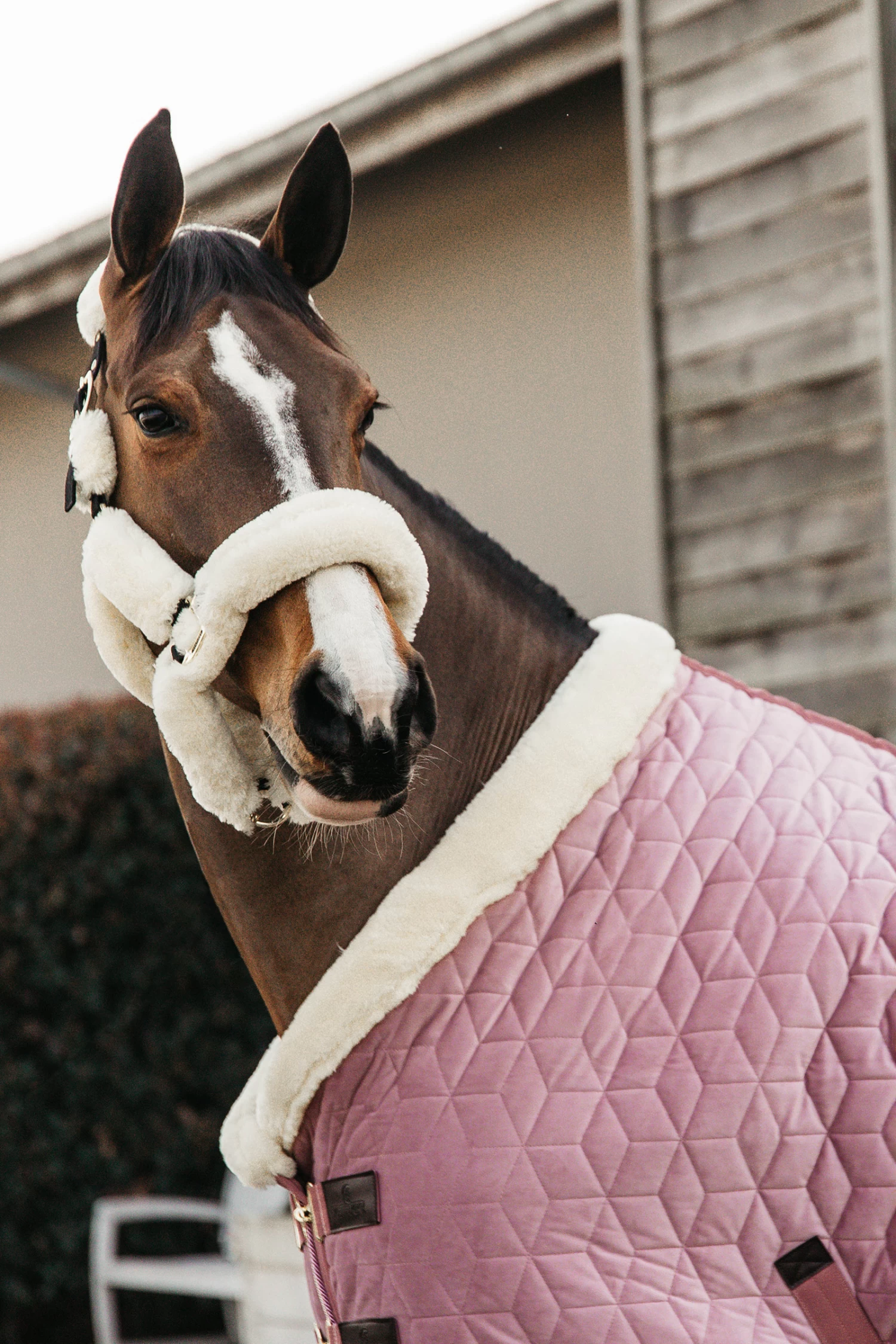 Kentucky Horsewear Velvet Pony Turnierdecke, 160g 14 Kentucky Horsewear Velvet Pony Turnierdecke, 160g – Bild 14