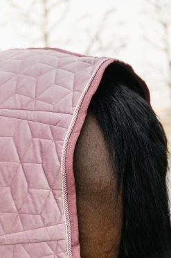 Kentucky Horsewear Velvet Pony Turnierdecke, 160g 36 Kentucky Horsewear Velvet Pony Turnierdecke, 160g -Pferdebedarf Discounter 336616 RRPI 6