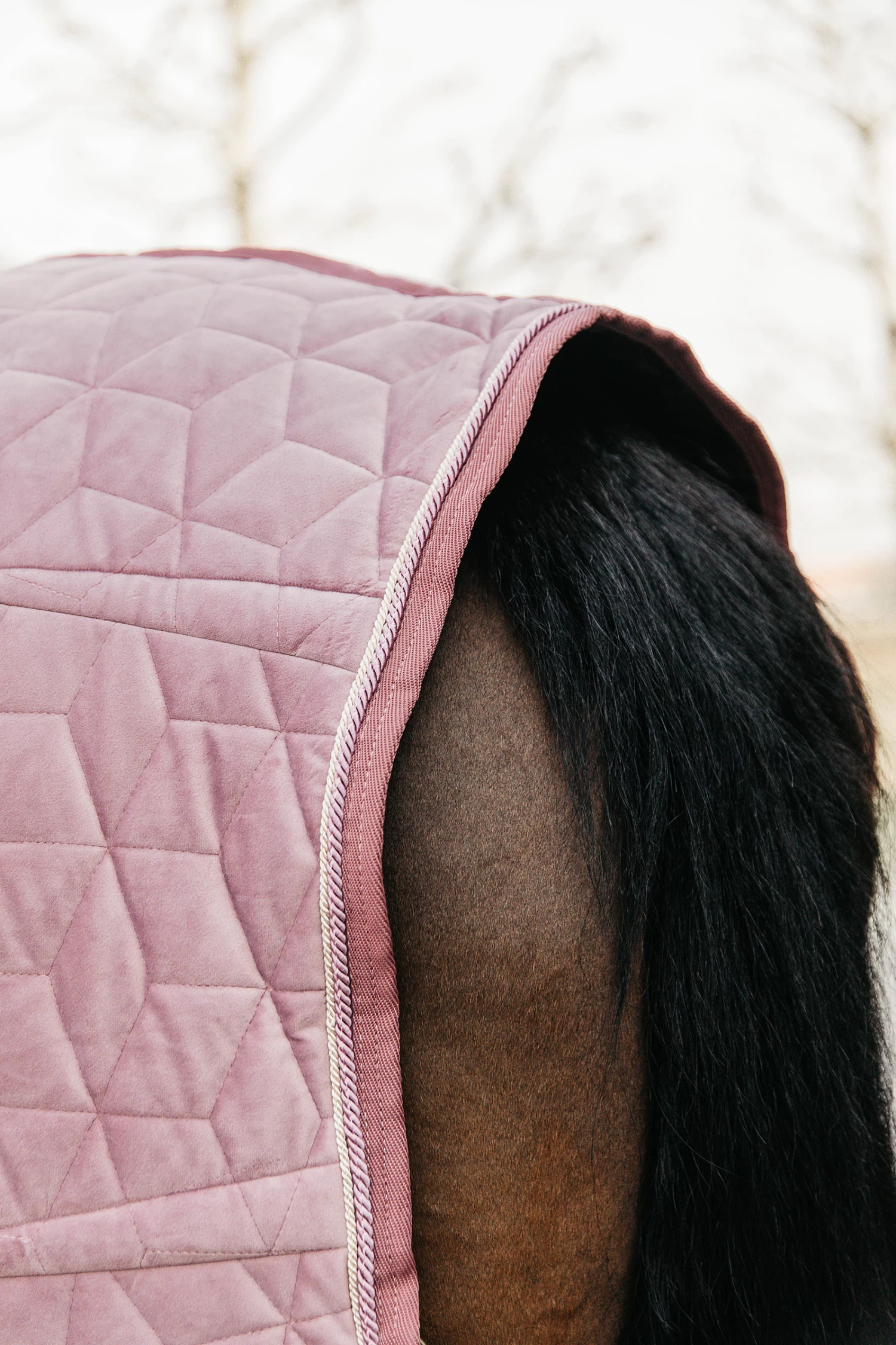 Kentucky Horsewear Velvet Pony Turnierdecke, 160g 17 Kentucky Horsewear Velvet Pony Turnierdecke, 160g – Bild 17