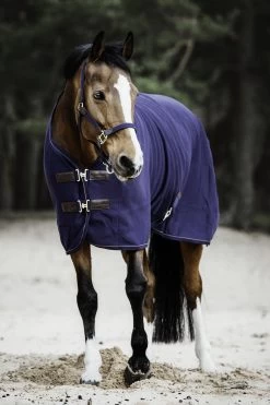 Pferdebedarf Discounter 25 Kentucky Horsewear Tiny Fleece Abschwitzdecke