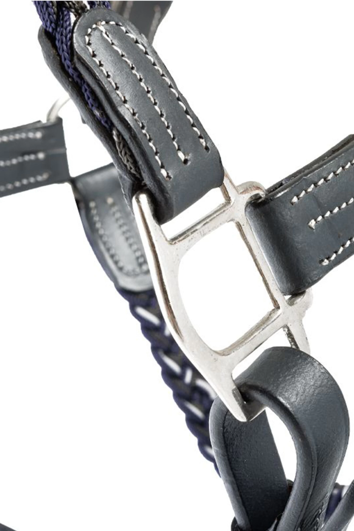 Kavalkade Tessa Flechthalfter 2 Kavalkade Tessa Flechthalfter – Bild 2